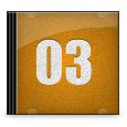 Icon 12